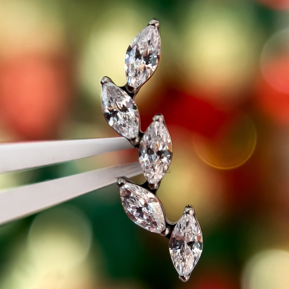 16G G23チタン製5連マーキスジルコンクラスター内ネジ軟 - Cluster Stud Ear のレビューと価格