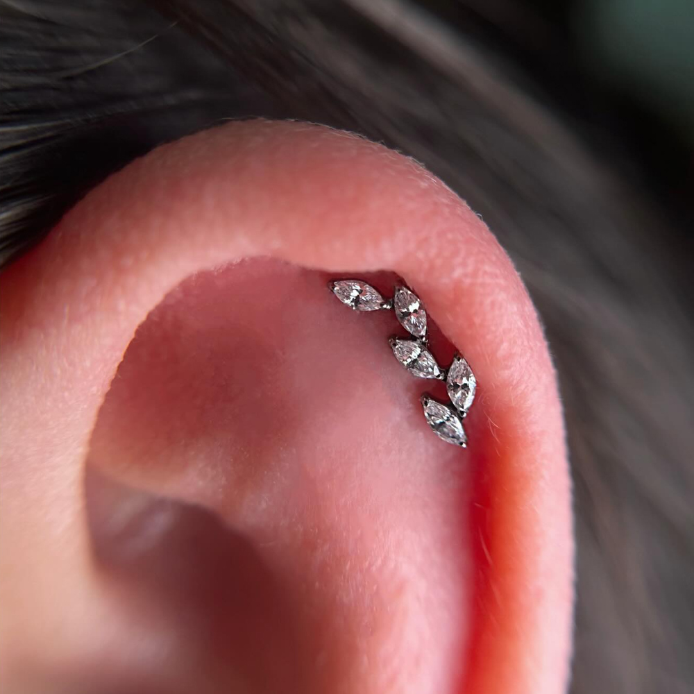 16G G23チタン製5連マーキスジルコンクラスター内ネジ軟 - Cluster Stud Ear のレビューと価格