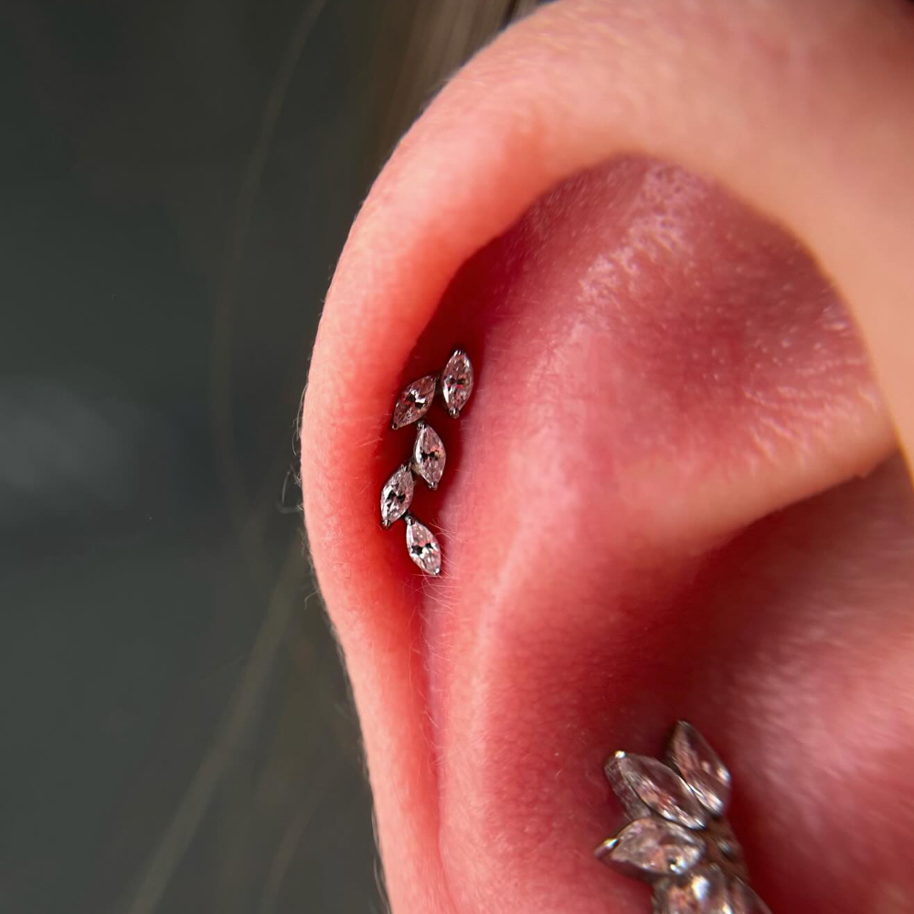 16G G23チタン製5連マーキスジルコンクラスター内ネジ軟 - Cluster Stud Ear のレビューと価格