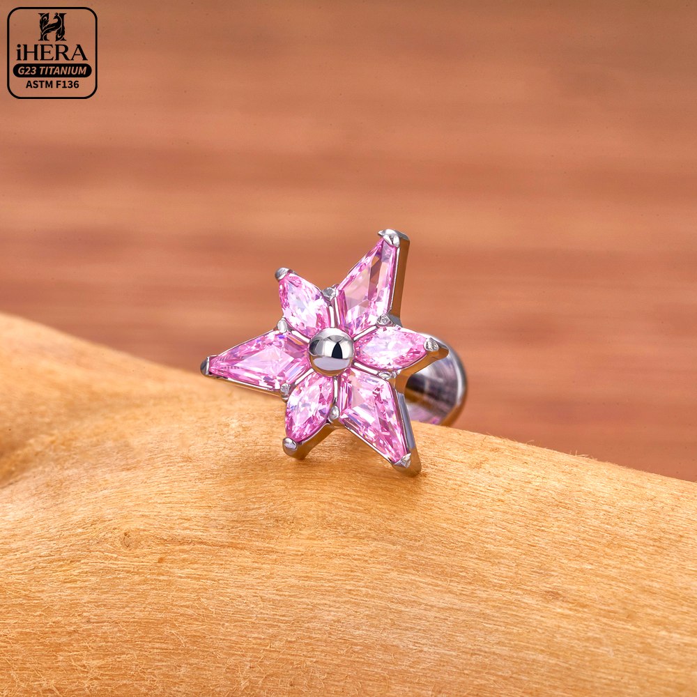 ASTM F136チタン製キラキラCZクラスターイヤーピアス - Cluster Stud Ear のレビューと価格
